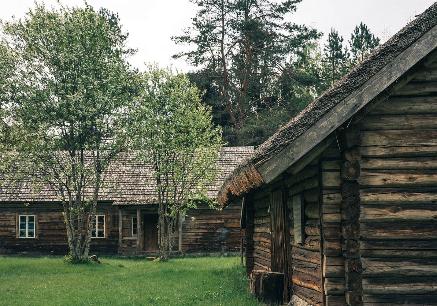 Школьная экскурсия на Родину Якуба Коласа из Минска! ⭐ Сувениры и  скидки на последующие экскурсии для индивидуальных туристов! ✅  Комфортабельные автобусы! Школьная экскурсия на Родину Якуба Коласа вместе  с Smart-Tour.by! ☎ +375 (